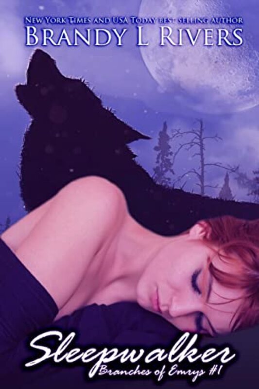 Book cover for "Sleepwalker" by Brandy L Rivers