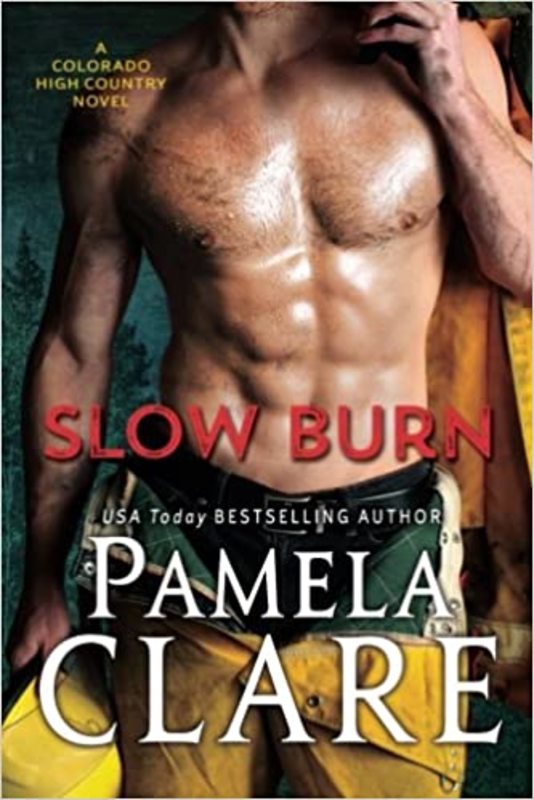Book cover for "Slow Burn" by Pamela Clare