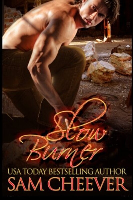 Book cover for "Slow Burner" by Sam Cheever