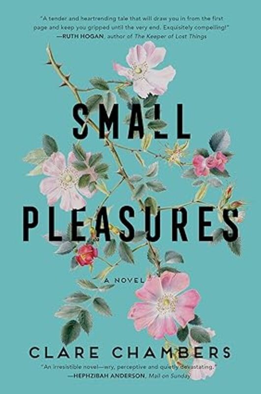 Book cover for "Small Pleasures" by Clare Chambers