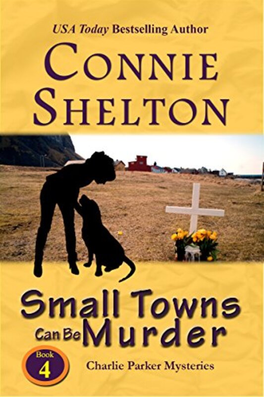 Book cover for "Small Towns can be Murder" by Connie Shelton