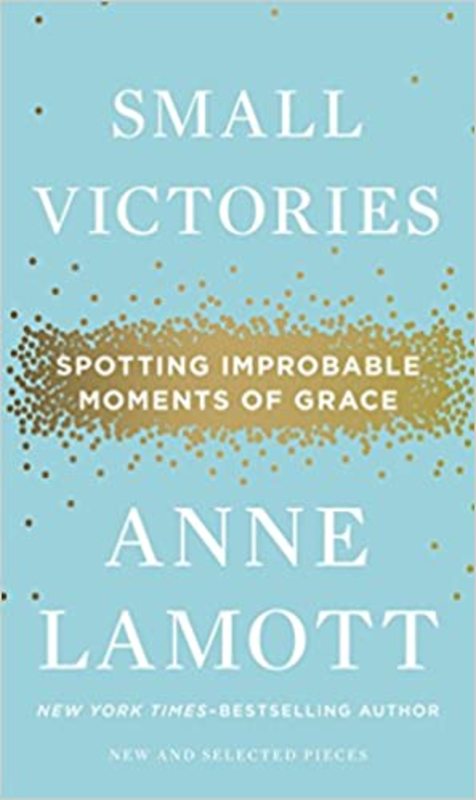 Book cover for "Small Victories"