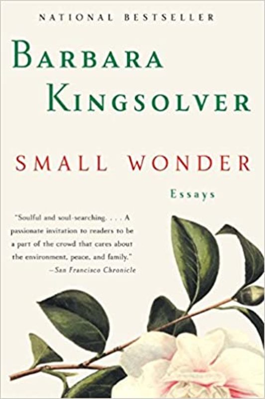Book cover for "Small Wonder" by Barbara Kingsolver
