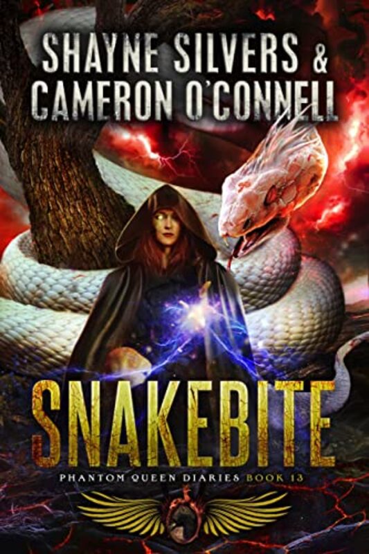 Shayne Silvers book cover