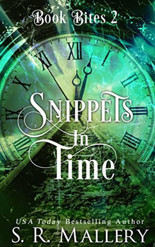 Book cover for "Snippets In Time 2" by SR Mallery