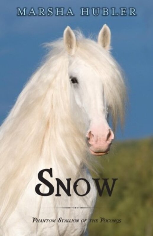 Marsha Hubler book cover