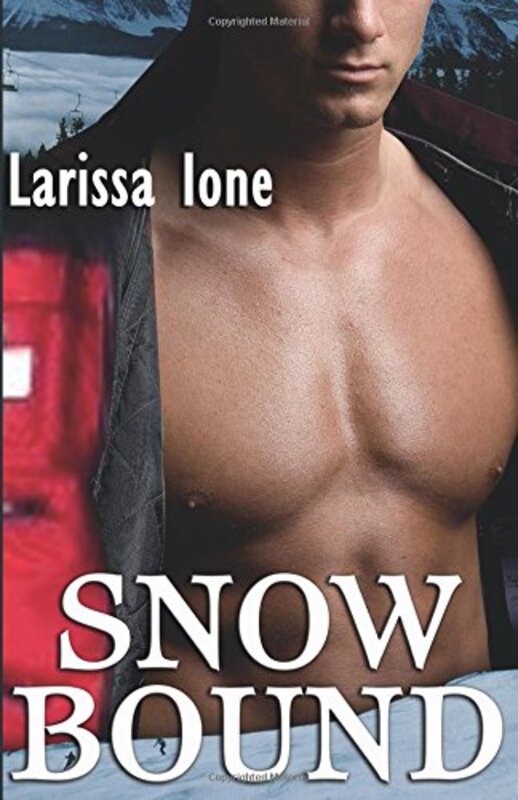 Book cover for "Snowbound" by Larissa Ione