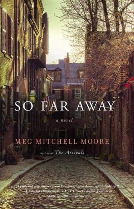 Book cover for "So Far Away" by Meg Mitchell Moore
