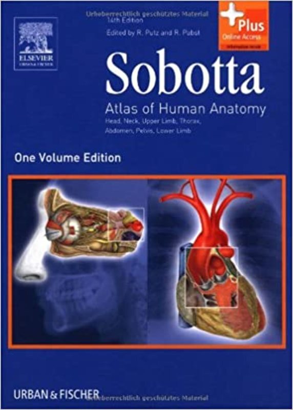 Book cover for "Sobotta" by Reinhard Putz