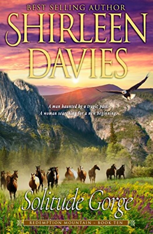 Book cover for "Solitude Gorge" by Shirleen Davies