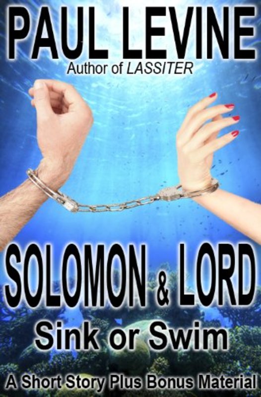 Solomon vs Lord book cover