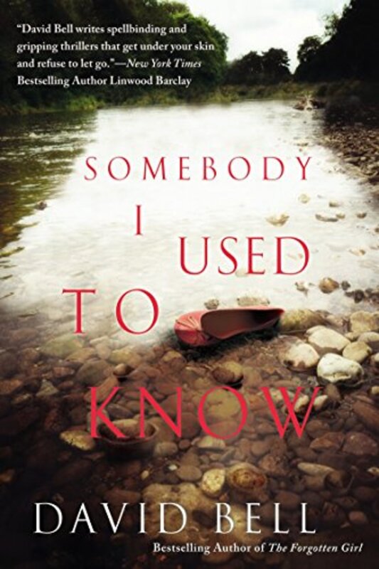Book cover for "Somebody I Used to Know" by David Bell