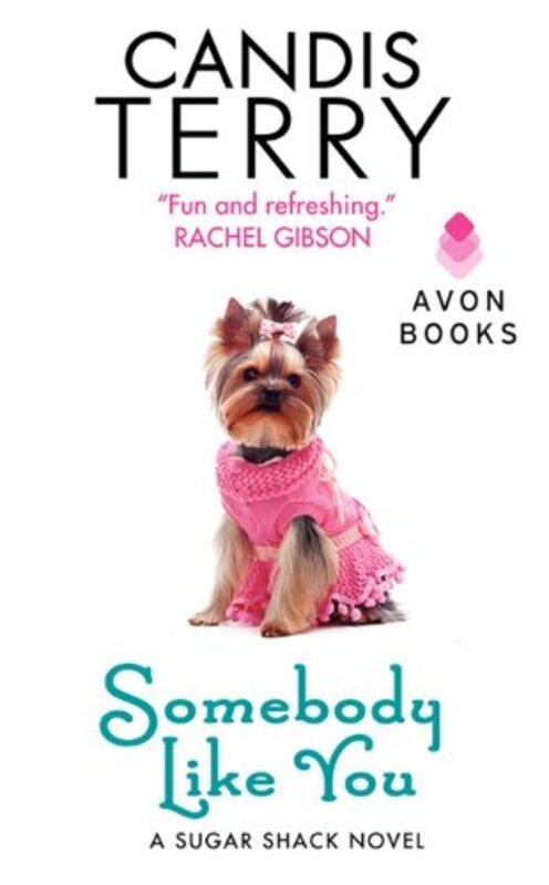 Book cover for "Somebody Like You" by Candis Terry