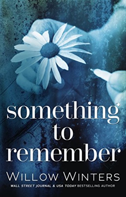 Book cover for "Something to Remember" by Willow Winters