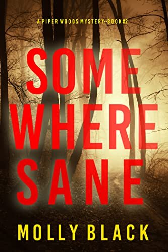 Book cover for "Somewhere Sane" by Molly Black