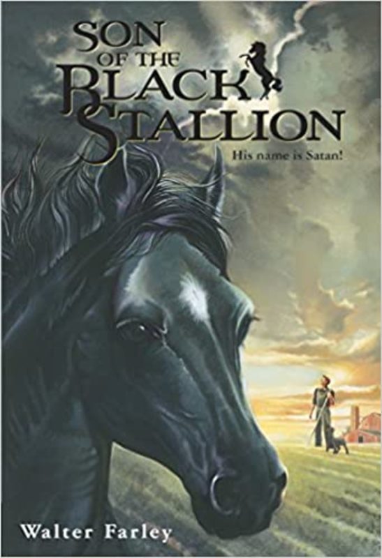 Book cover for "Son of the Black Stallion" by Walter Farley