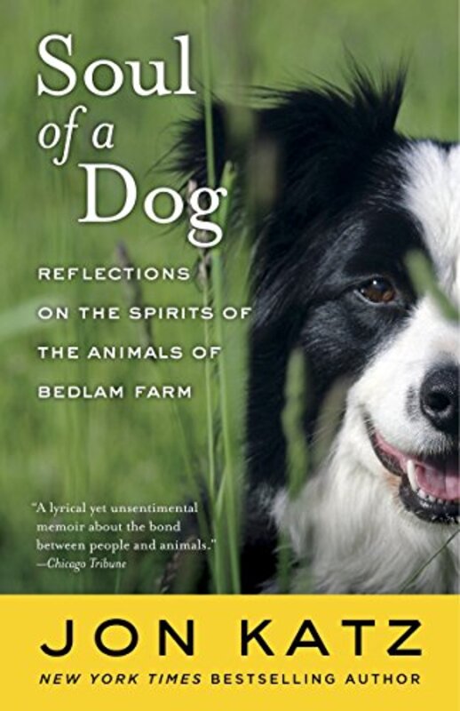 Book cover for "Soul of a Dog" by Jon Katz