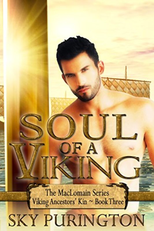 Book cover for "Soul of a Viking" by Sky Purington