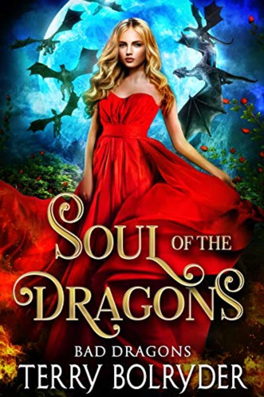 Book cover for "Soul of the Dragons" by Terry Bolryder