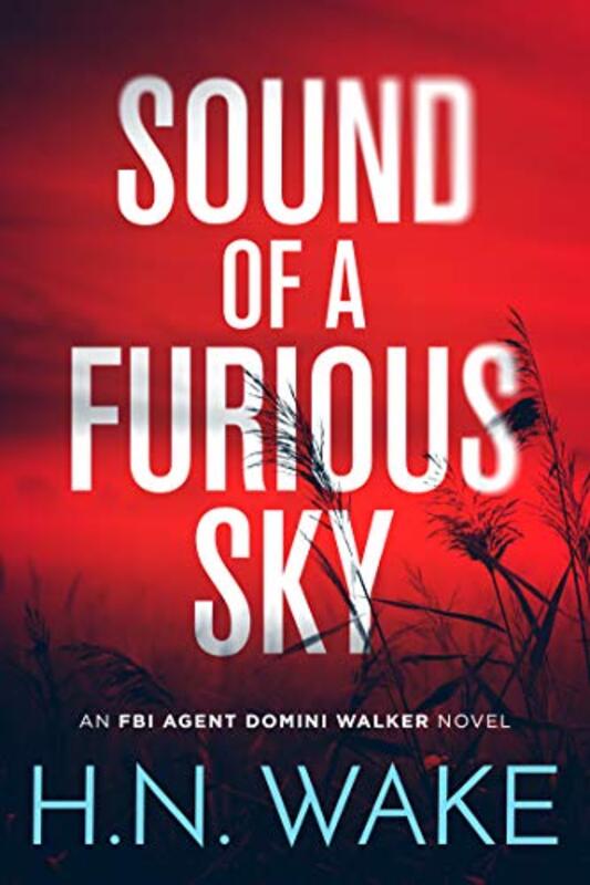 Book cover for "Sound of a Furious Sky" by HN Wake