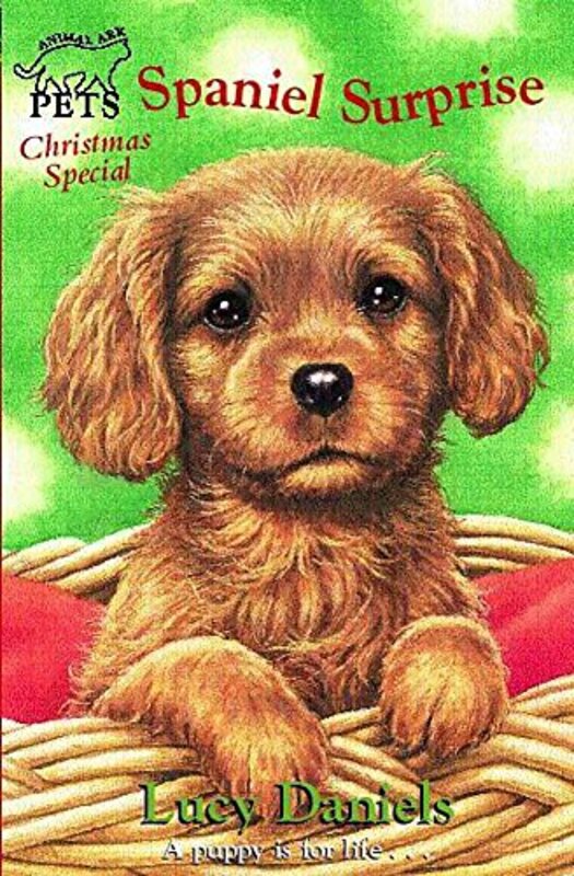 Book cover for "Spaniel Surprise" by Lucy Daniels