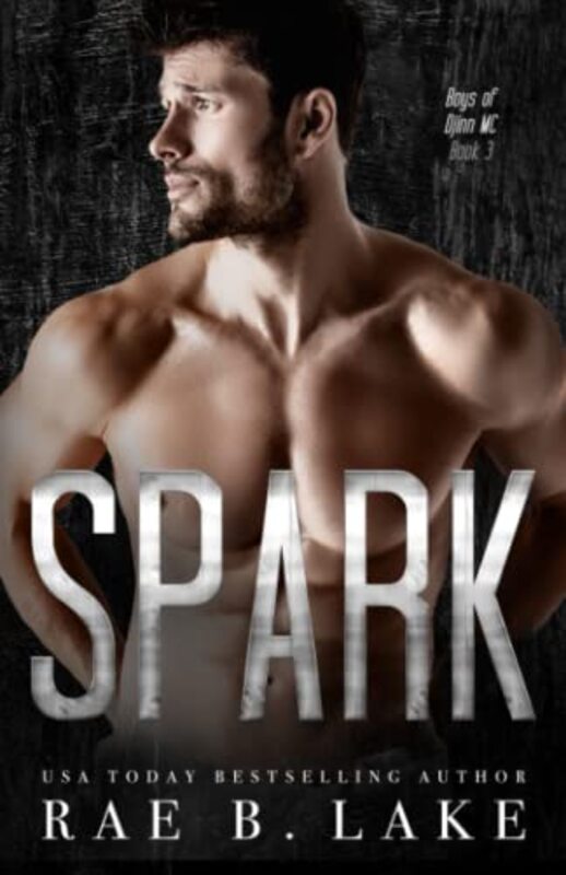 Book cover for "Spark" by Rae B Lake