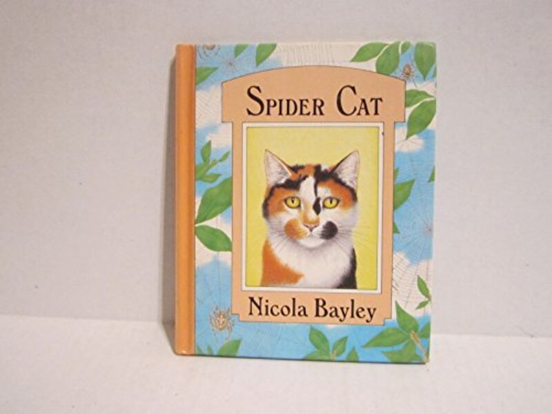 Book cover for "Spider Cat" by Nicola Bayley