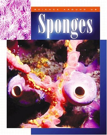 Book cover for "Sponges" by Mary Logue