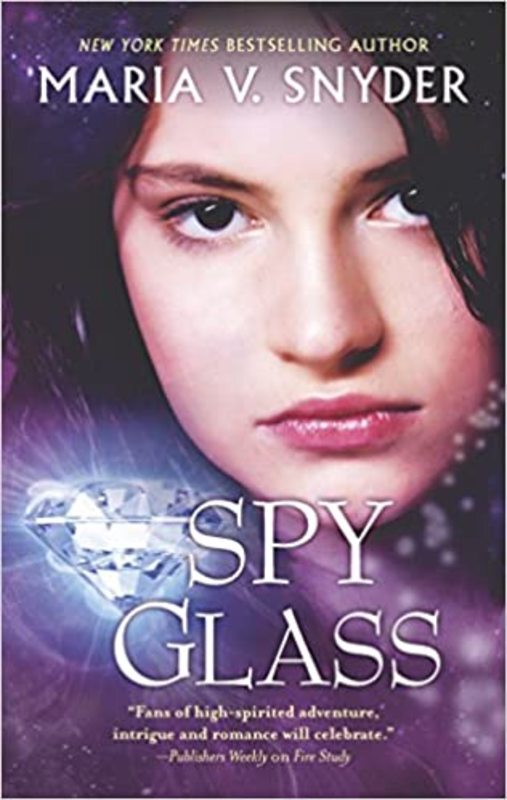 The Glass book cover