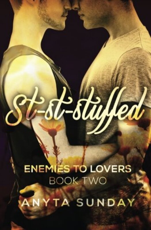 Book cover for "St-St-Stuffed" by Anyta Sunday
