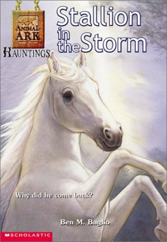 Book cover for "Stallion in the Storm" by Lucy Daniels
