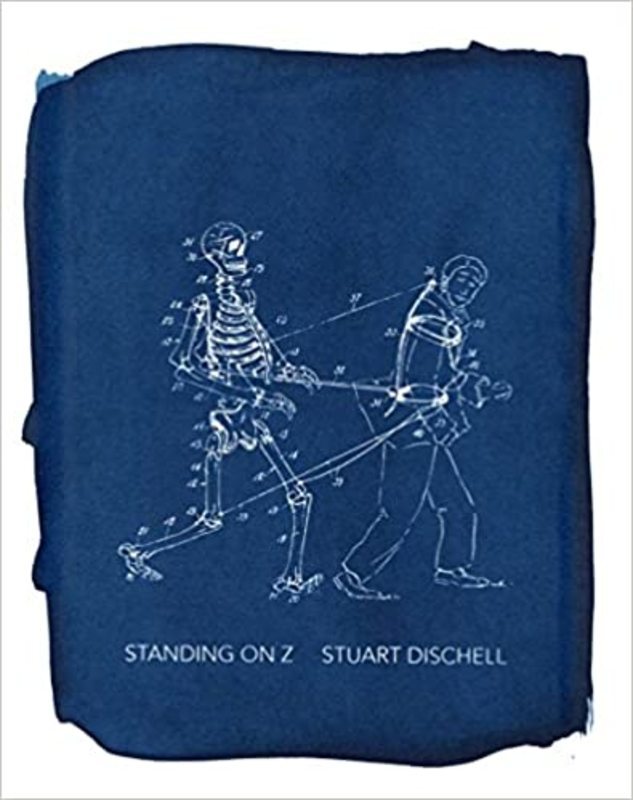 Book cover for "Standing on Z" by Stuart Dischell