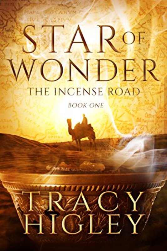 Book cover for "Star of Wonder" by Tracy L Higley