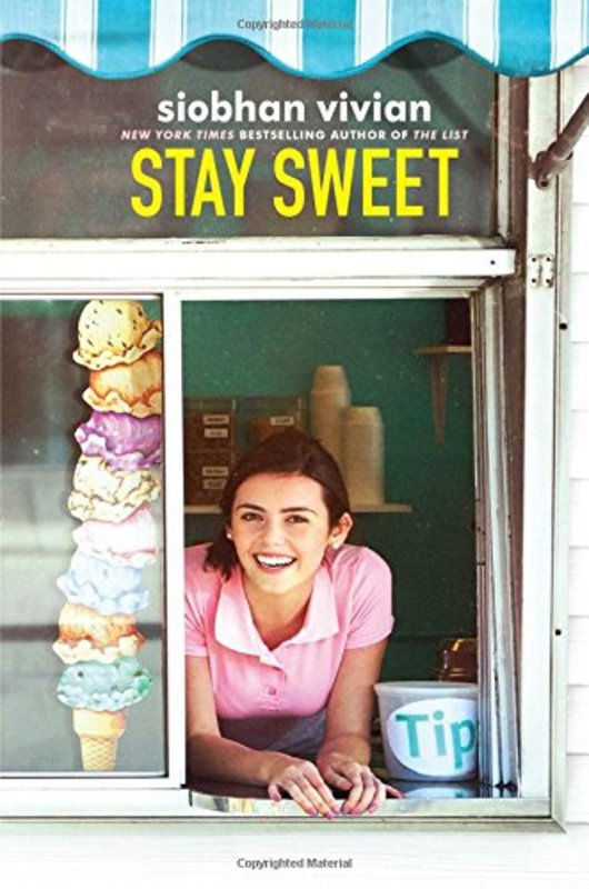 Siobhan Vivian book cover