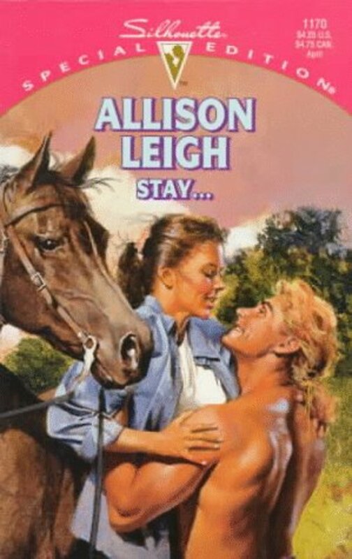 Book cover for "Stay..." by Allison Leigh