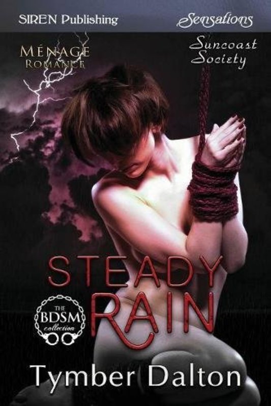 Book cover for "Steady Rain" by Tymber Dalton