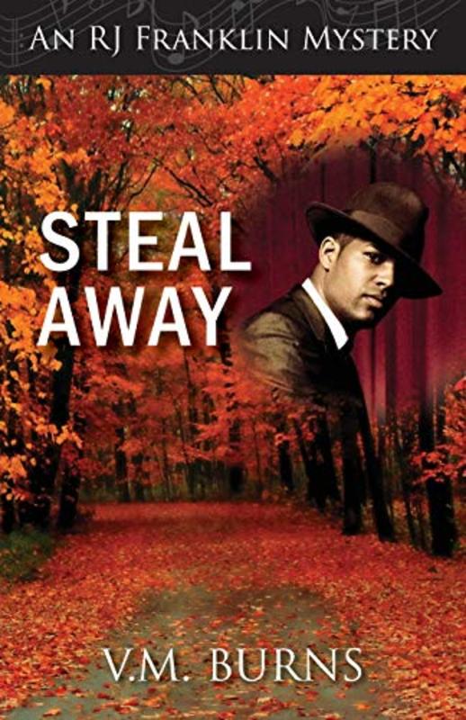 Book cover for "Steal Away" by Valerie VM Burns