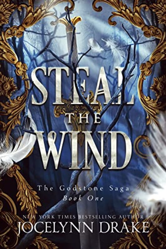 Book cover for "Steal the Wind" by Jocelynn Drake