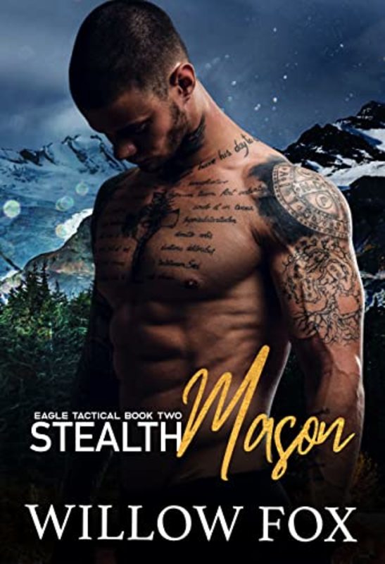 Book cover for "Stealth" by Willow Fox