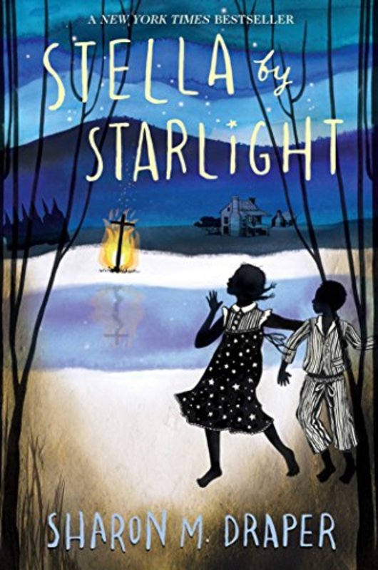 Sharon M Draper book cover