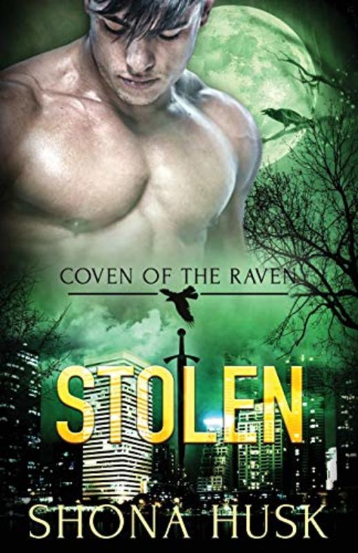 Book cover for "Stolen" by Shona Husk