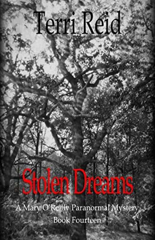 Book cover for "Stolen Dreams" by Terri Reid