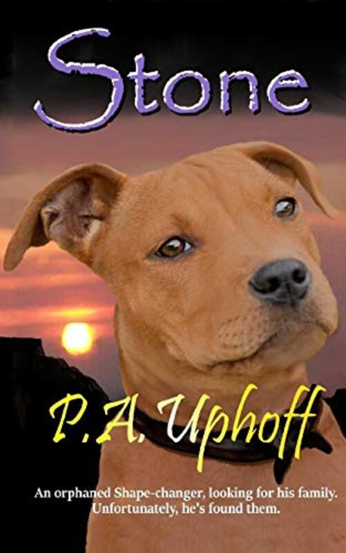 Book cover for "Stone" by Pam Uphoff