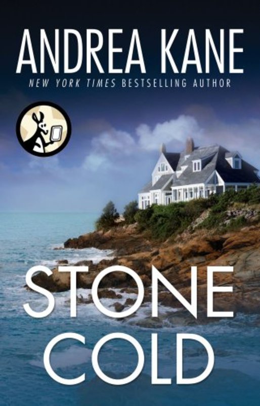 Book cover for "Stone Cold" by Andrea Kane