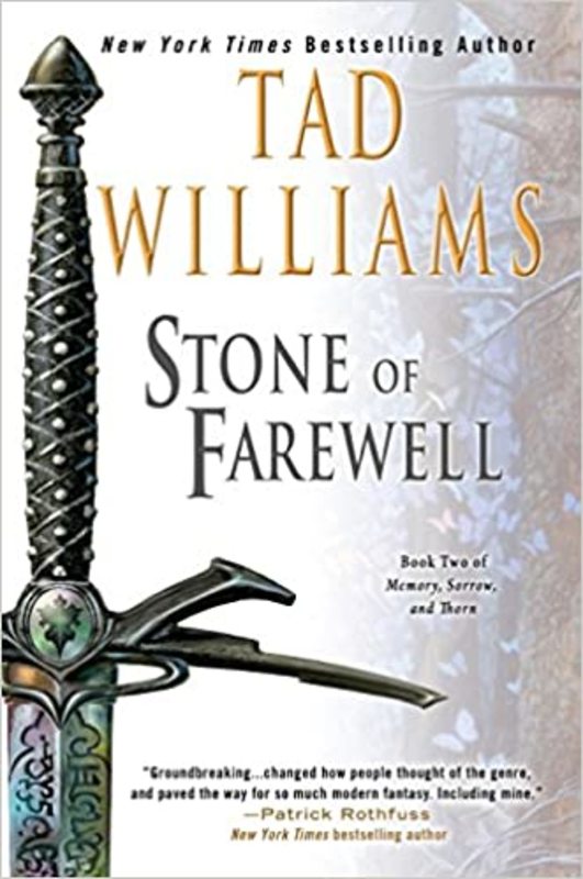 Memory Sorrow and Thorn book cover