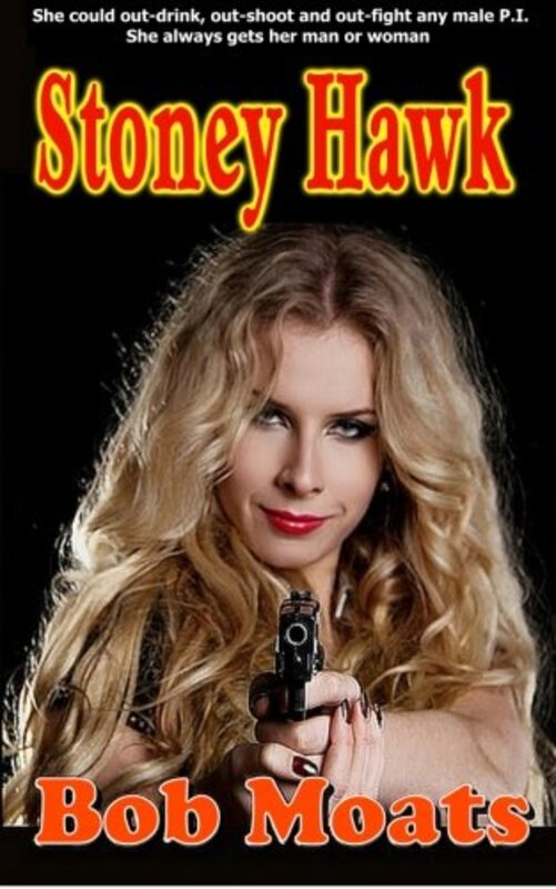 Book cover for "Stoney Hawk" by Bob Moats