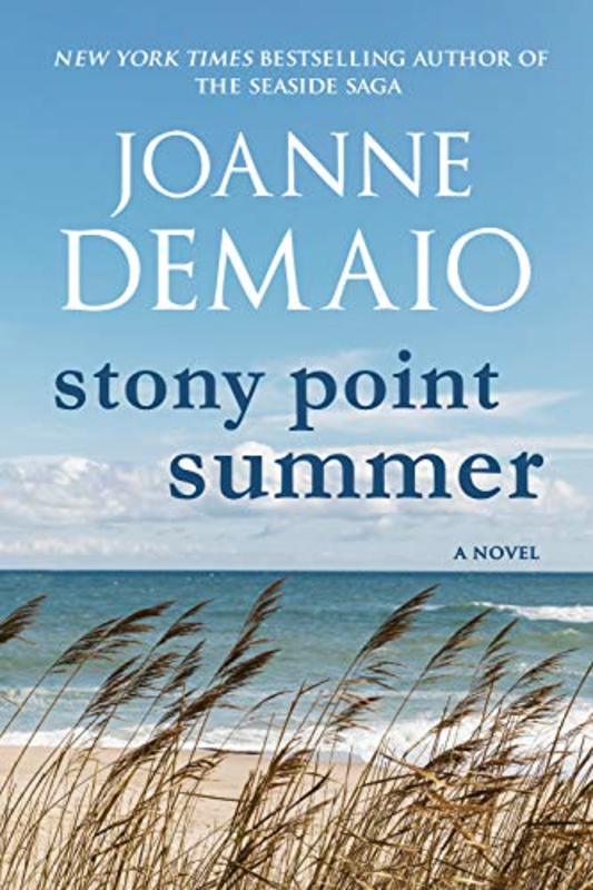 Book cover for "Stony Point Summer" by Joanne DeMaio