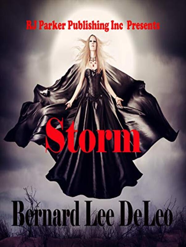 Book cover for "Storm" by Bernard Lee DeLeo