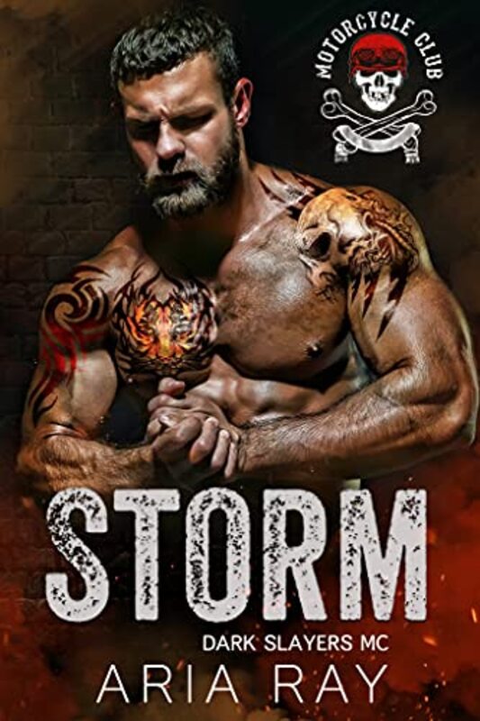 Book cover for "Storm" by Aria Ray