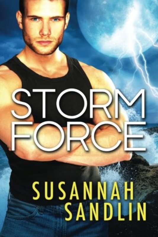 Book cover for "Storm Force" by Susannah Sandlin